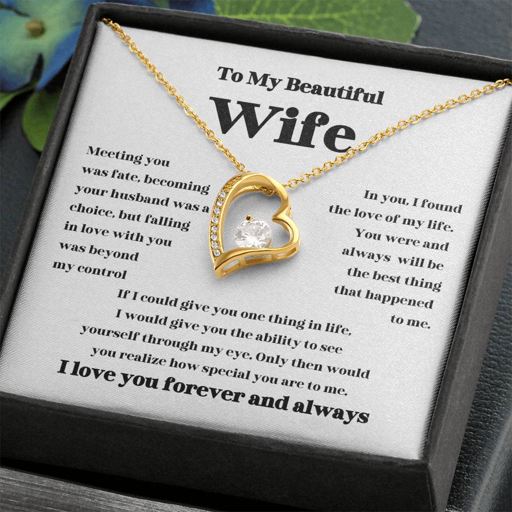 To My Beautiful Wife, Meeting you was Fate